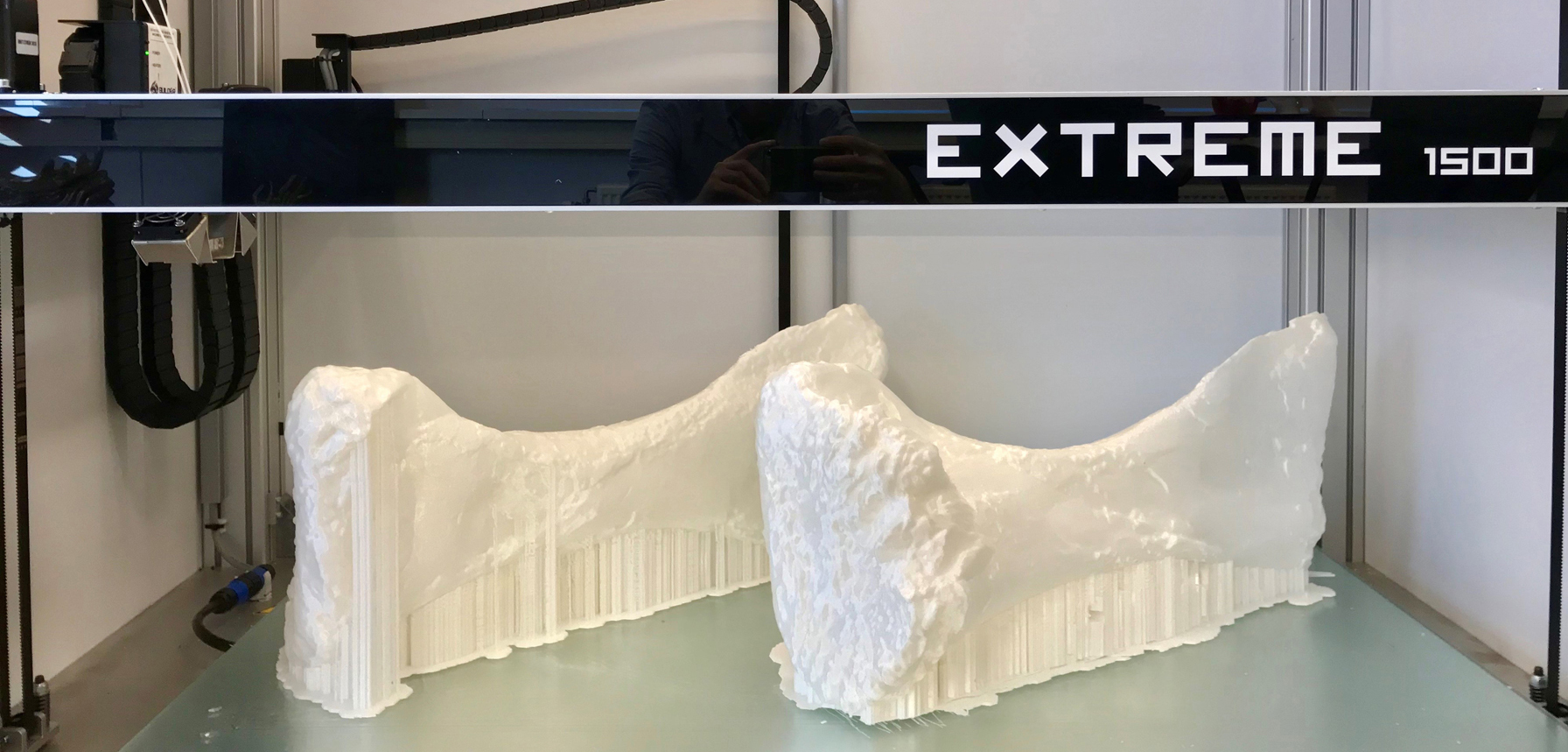 2 large 3D-printed bones.